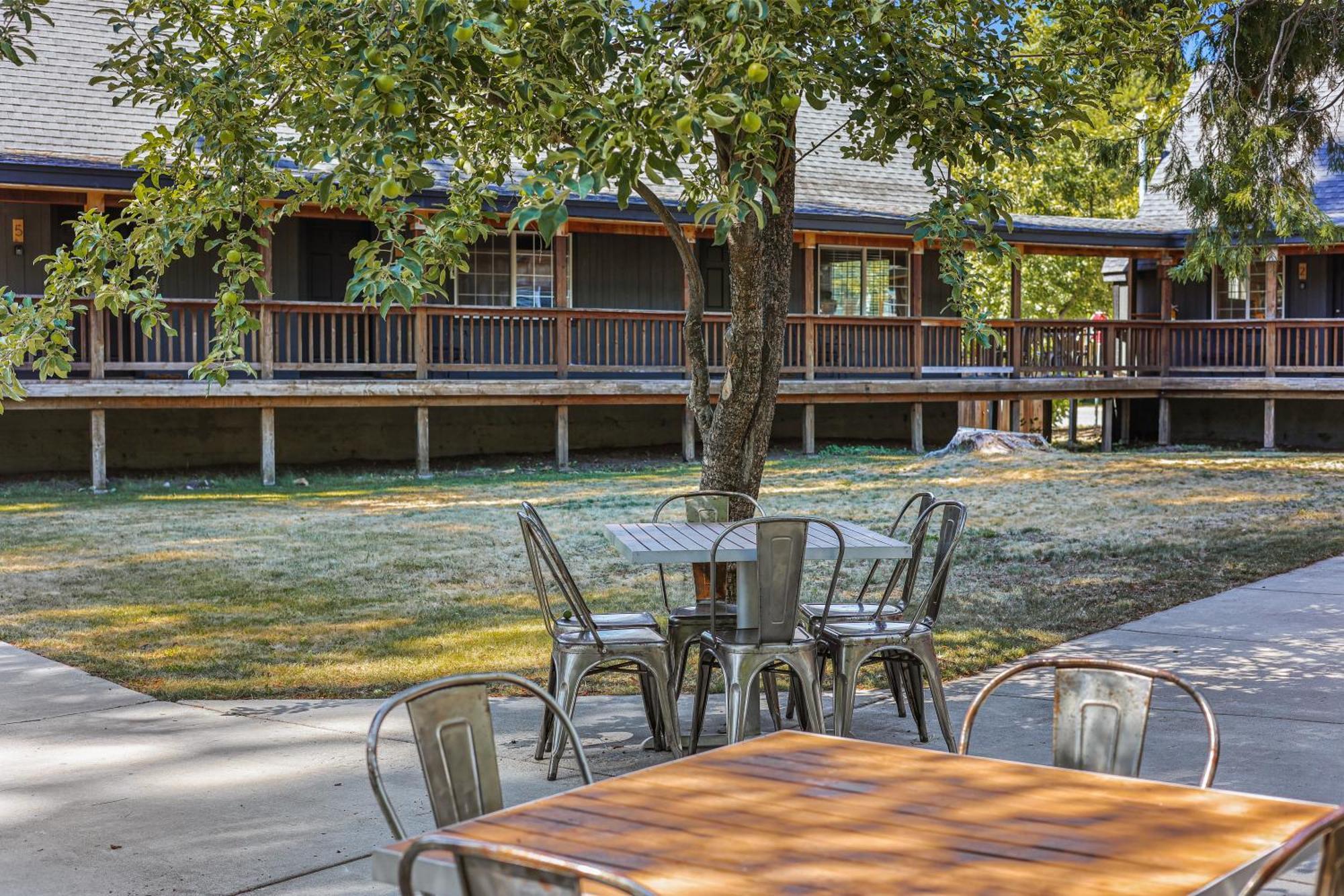 Shasta View Lodge McCloud Kültér fotó